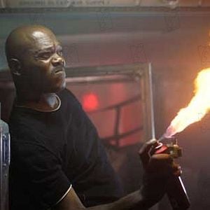 Foto Serpentes a Bordo