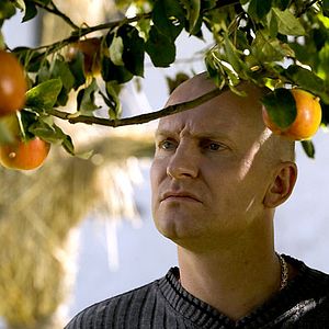 Foto Entre o Bem e o Mal