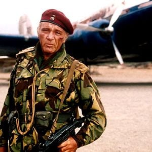 Foto Selvagens Cães de Guerra