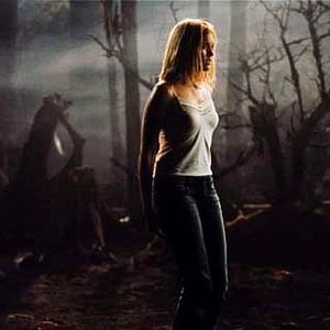 Foto Rupert Wainwright