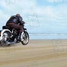 Foto Roger Donaldson