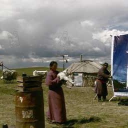 Foto Pingue-Pongue da Mongólia