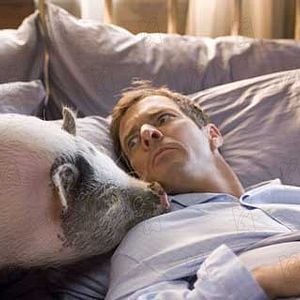 Foto Os Seus, os Meus e os Nossos