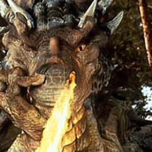 Foto Coração de Dragão