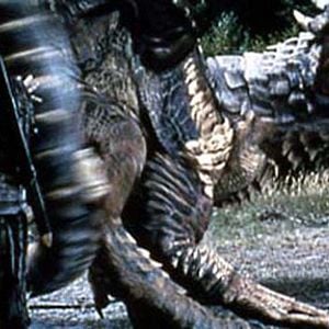 Foto Coração de Dragão