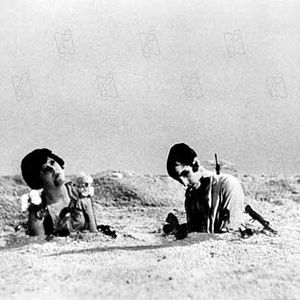 Foto Um Cão Andaluz