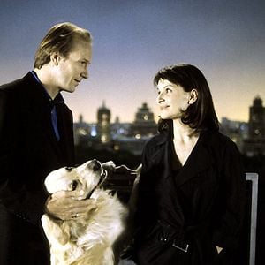 Foto Um Divã em Nova York