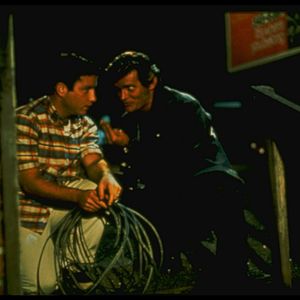 Foto Loucuras de Verão