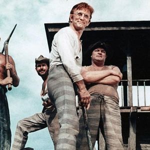 Foto Ninho de Cobras