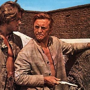 Foto Ninho de Cobras