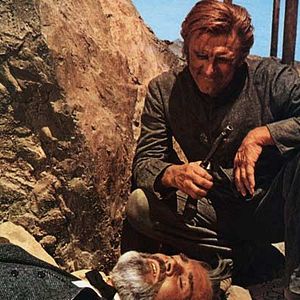 Foto Ninho de Cobras