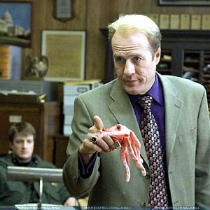 Foto Seres Rastejantes