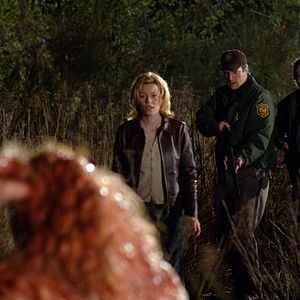 Foto Seres Rastejantes