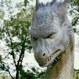 Foto Stefen Fangmeier