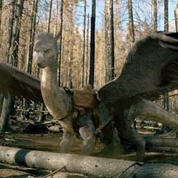 Foto Stefen Fangmeier