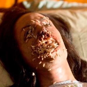 Foto Mestres do Terror