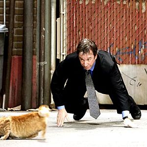 Foto Soltando os Cachorros