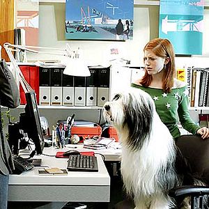 Foto Spencer Breslin