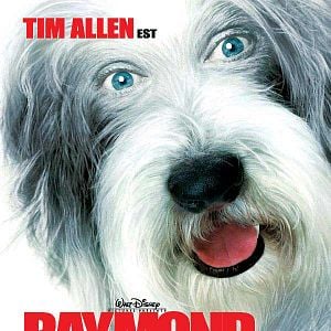 Foto Soltando os Cachorros