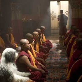 Foto Soltando os Cachorros