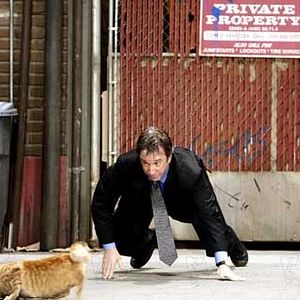 Foto Soltando os Cachorros