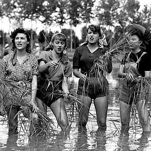 Foto Giuseppe de Santis