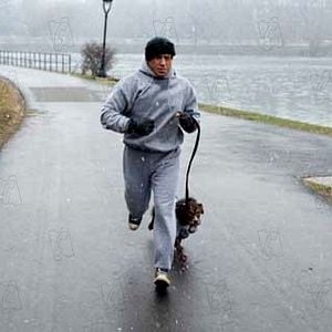 Foto Sylvester Stallone