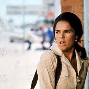 Foto Os Implacáveis