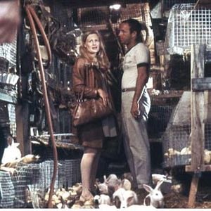 Foto Caminhos Mal Traçados