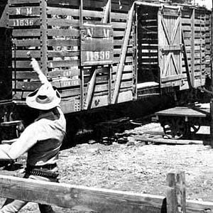 Foto Sete Homens e Um Destino