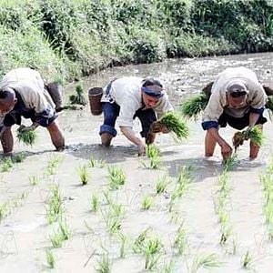 Foto O Mestre das Armas