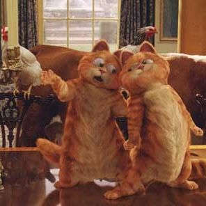 Foto Garfield 2