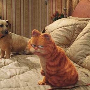 Foto Garfield 2