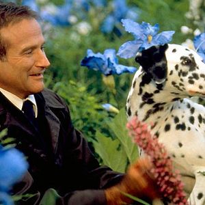 Foto Amor Além da Vida