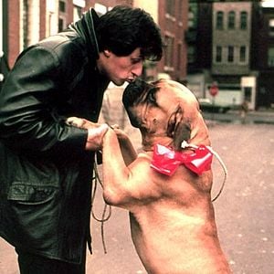 Foto Sylvester Stallone