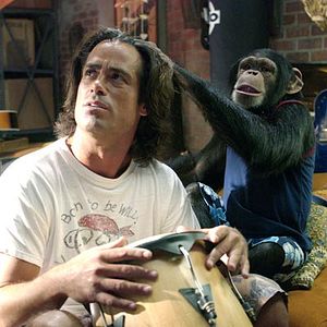 Foto O Queridinho da Vovó