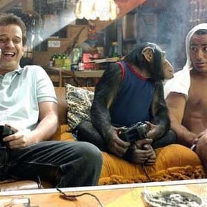 Foto O Queridinho da Vovó