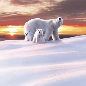 Foto Thierry Piantanida