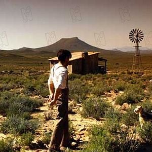 Foto Pergunte ao Pó