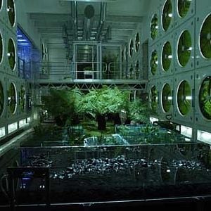 Foto Sunshine - Alerta Solar