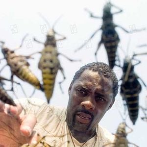 Foto A Colheita do Mal