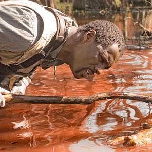 Foto A Colheita do Mal