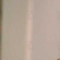 Foto Samaire Armstrong