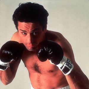 Foto Touro Indomável