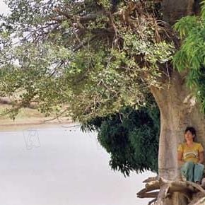 Foto Romane Bohringer