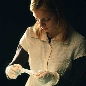 Foto A Vida Secreta das Palavras