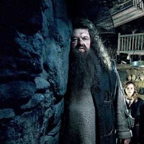 Foto Harry Potter e a Ordem da Fênix