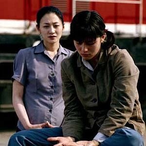 Foto As Filhas do Botânico