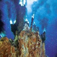 Foto Criaturas das Profundezas