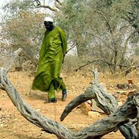 Foto Vou Cantar para Ti